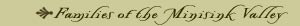 Minisink Families and Reunions